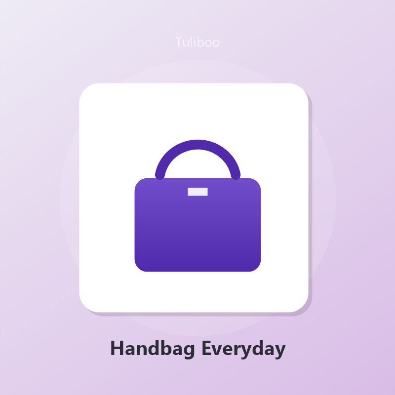 Handbag Everyday