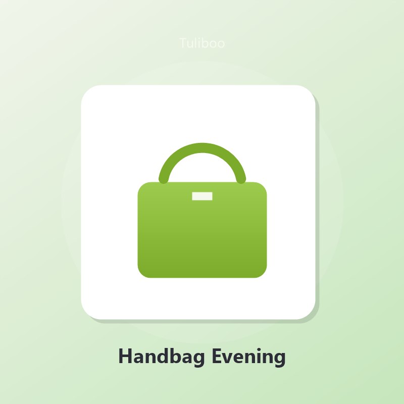 Handbag Evening